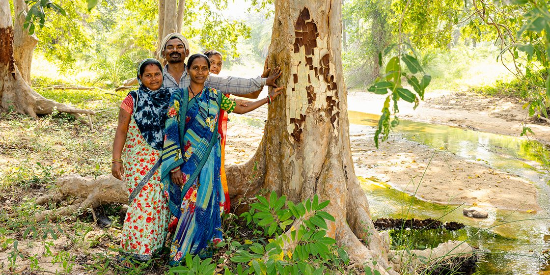 farmers touching tree