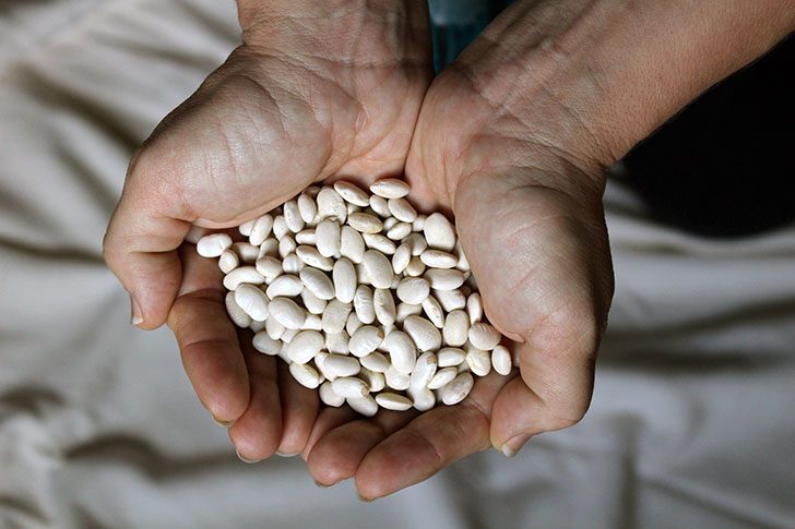 hands holding white beans