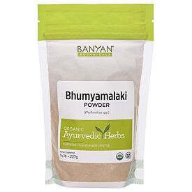 Bhumyamalaki powder
