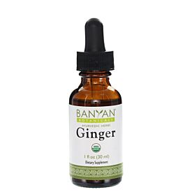 Ginger (Fresh) liquid extract