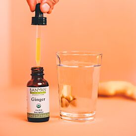 Ginger (Fresh) liquid extract