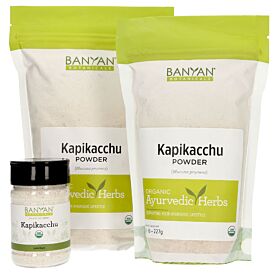 Kapikacchu powder