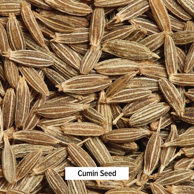 Cumin, Whole Seeds