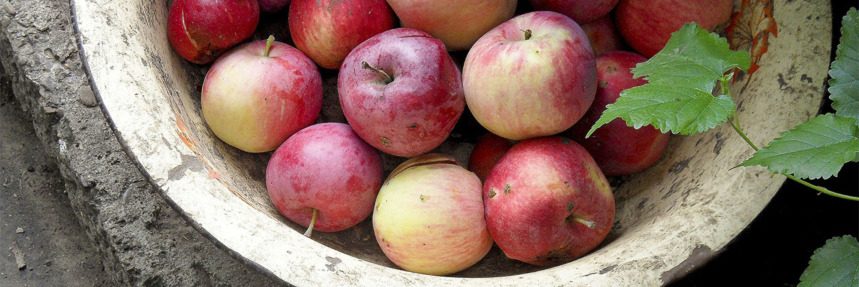 Baked Apples Breakfast Recipe