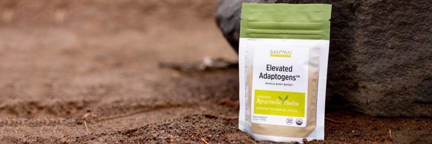 Elevate Your Energy and Boost Your Day with Elevated Adaptogens