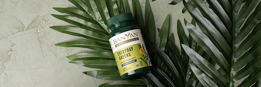 Get Your Dose of Greens and More with Everyday Greens!