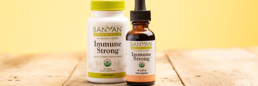 Immune Strong™—A New Herbal Blend for Year-Round Health