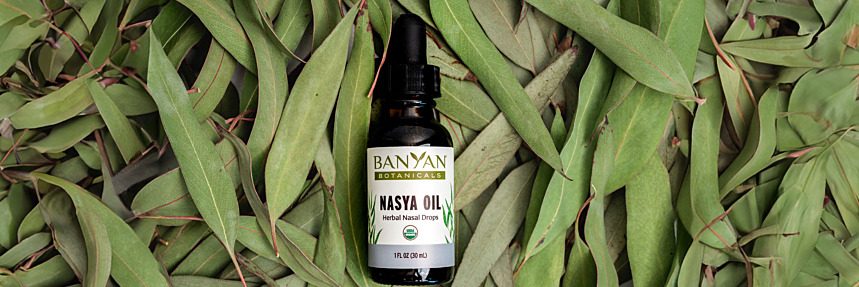 Why Nasya Oil is a Must in Your Daily Routine!
