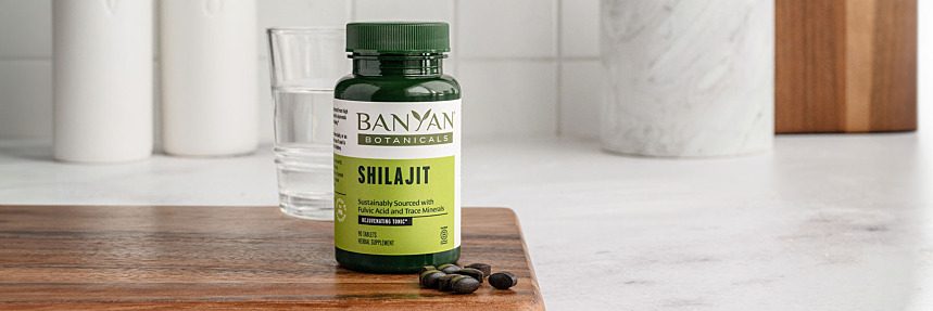The Benefits of Shilajit