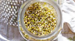 All You Need to Know About Sprouting + 3 Awesome Recipes